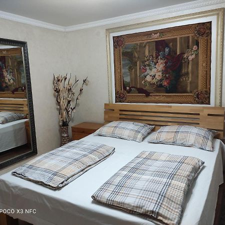 Apartmani Brod 泽尼察 外观 照片